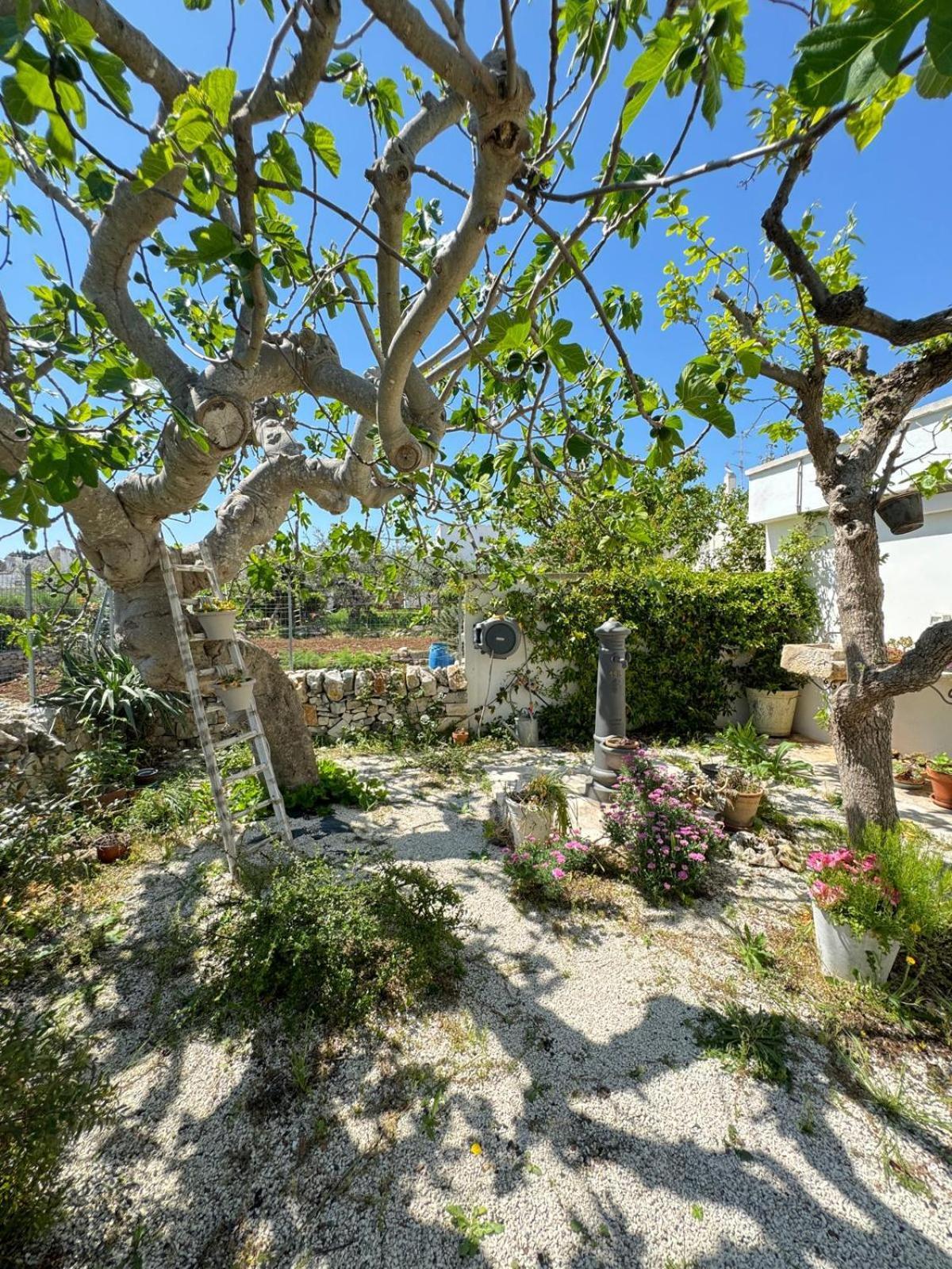 Trulli Resort Aia Piccola Alberobello Exteriér fotografie