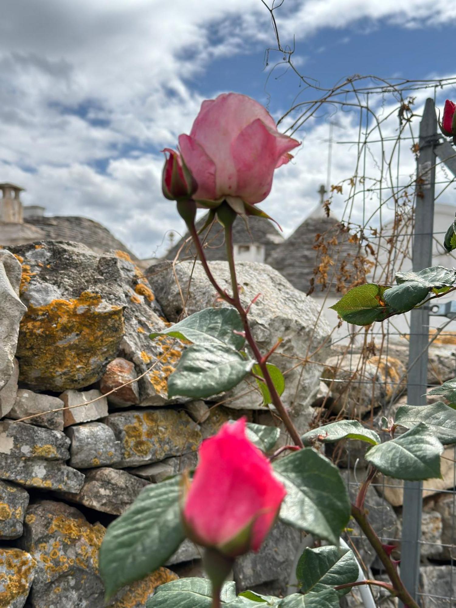 Trulli Resort Aia Piccola Alberobello Exteriér fotografie